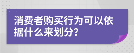 消费者购买行为可以依据什么来划分？