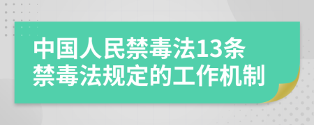 中国人民禁毒法13条禁毒法规定的工作机制