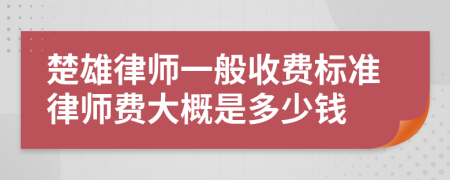 楚雄律师一般收费标准律师费大概是多少钱