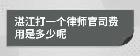 湛江打一个律师官司费用是多少呢