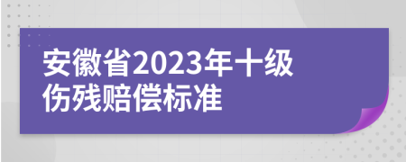 安徽省2023年十级伤残赔偿标准