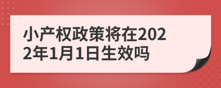 小产权政策将在2022年1月1日生效吗