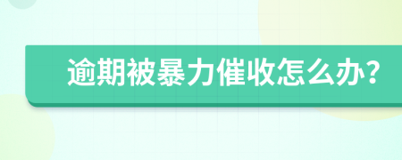 逾期被暴力催收怎么办？