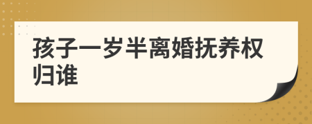 孩子一岁半离婚抚养权归谁