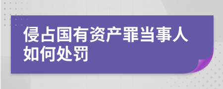 侵占国有资产罪当事人如何处罚