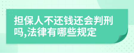 担保人不还钱还会判刑吗,法律有哪些规定