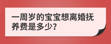 一周岁的宝宝想离婚抚养费是多少？