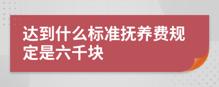 达到什么标准抚养费规定是六千块