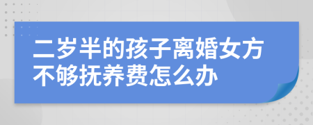 二岁半的孩子离婚女方不够抚养费怎么办