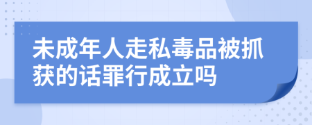 未成年人走私毒品被抓获的话罪行成立吗