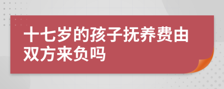 十七岁的孩子抚养费由双方来负吗