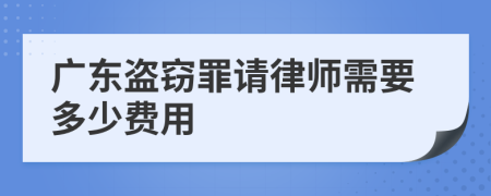 广东盗窃罪请律师需要多少费用