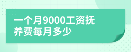 一个月9000工资抚养费每月多少