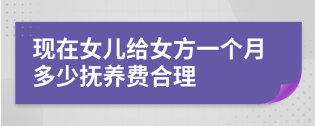 现在女儿给女方一个月多少抚养费合理