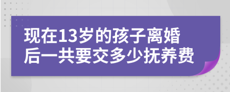 现在13岁的孩子离婚后一共要交多少抚养费