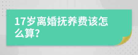 17岁离婚抚养费该怎么算？