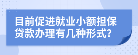 目前促进就业小额担保贷款办理有几种形式？