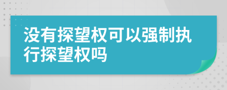没有探望权可以强制执行探望权吗