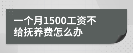 一个月1500工资不给抚养费怎么办