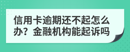 信用卡逾期还不起怎么办？金融机构能起诉吗