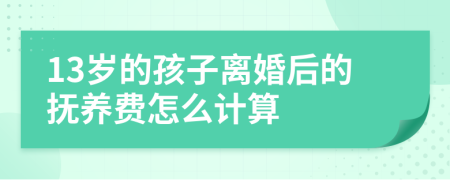 13岁的孩子离婚后的抚养费怎么计算