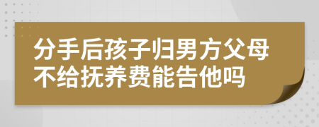 分手后孩子归男方父母不给抚养费能告他吗