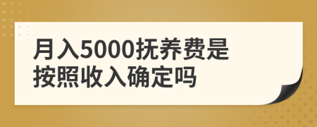 月入5000抚养费是按照收入确定吗