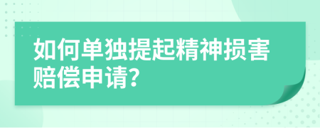 如何单独提起精神损害赔偿申请？