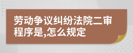 劳动争议纠纷法院二审程序是,怎么规定