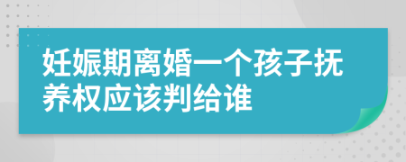 妊娠期离婚一个孩子抚养权应该判给谁
