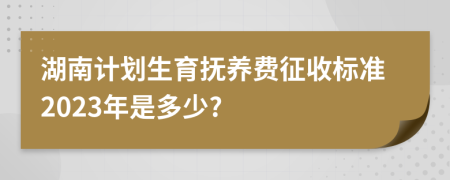 湖南计划生育抚养费征收标准2023年是多少?