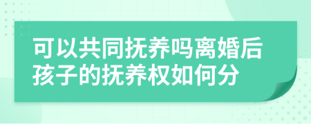 可以共同抚养吗离婚后孩子的抚养权如何分