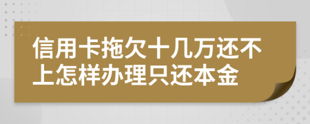 信用卡拖欠十几万还不上怎样办理只还本金