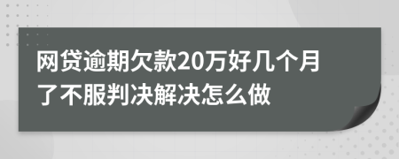 网贷逾期欠款20万好几个月了不服判决解决怎么做