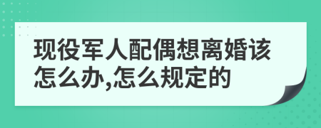 现役军人配偶想离婚该怎么办,怎么规定的