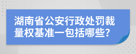 湖南省公安行政处罚裁量权基准一包括哪些？