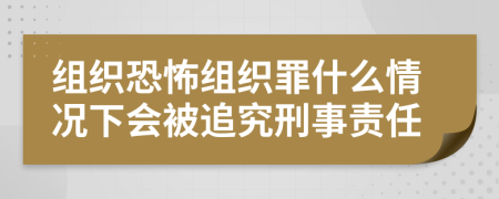 组织恐怖组织罪什么情况下会被追究刑事责任