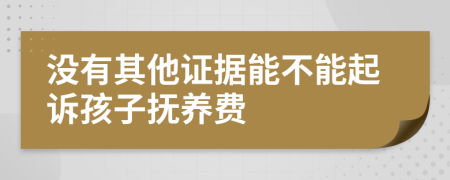 没有其他证据能不能起诉孩子抚养费