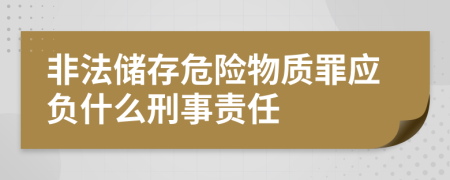 非法储存危险物质罪应负什么刑事责任