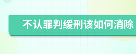 不认罪判缓刑该如何消除