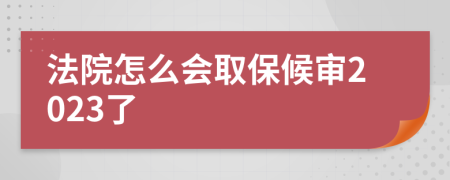 法院怎么会取保候审2023了