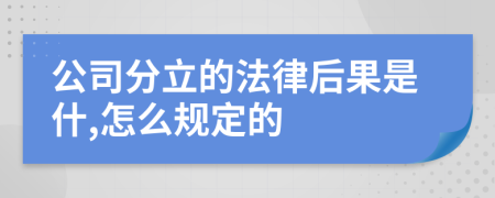 公司分立的法律后果是什,怎么规定的