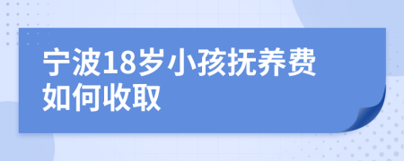 宁波18岁小孩抚养费如何收取