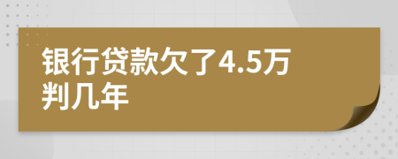 银行贷款欠了4.5万判几年