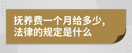 抚养费一个月给多少,法律的规定是什么