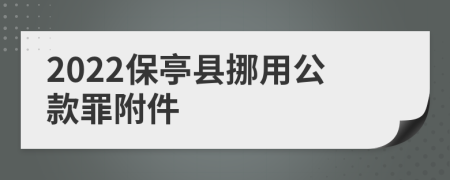 2022保亭县挪用公款罪附件