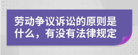 劳动争议诉讼的原则是什么，有没有法律规定