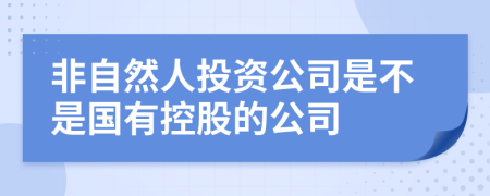 非自然人投资公司是不是国有控股的公司