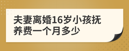 夫妻离婚16岁小孩抚养费一个月多少