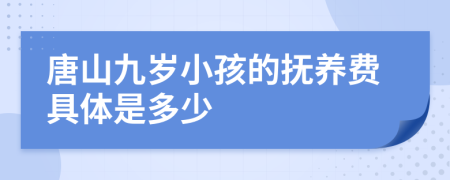 唐山九岁小孩的抚养费具体是多少